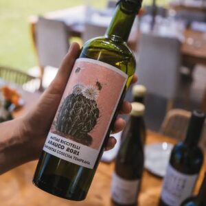 Matías Riccitelli Gualtallary Malbec