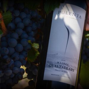 Pulenta Estate Single Vineyard Malbec Gualtallary