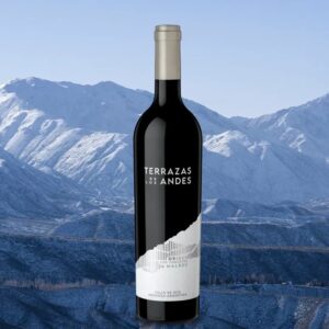Terrazas Origen Chacayes Malbec