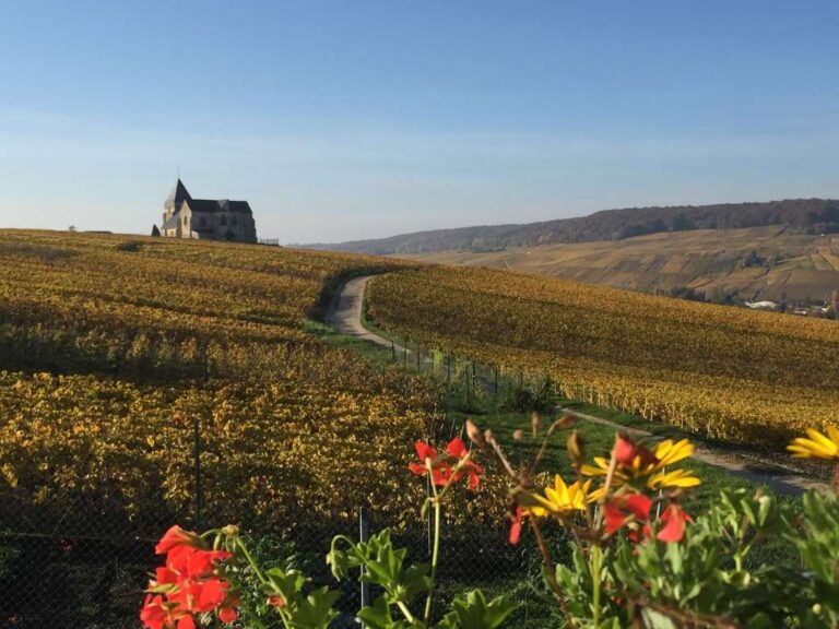 Champagne: origen, tradición y elegancia de una región única