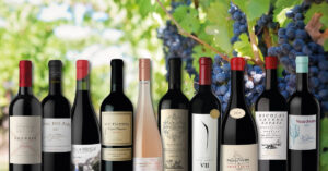 Los 10 Mejores Vinos Argentinos de 2025: las etiquetas que definieron el año