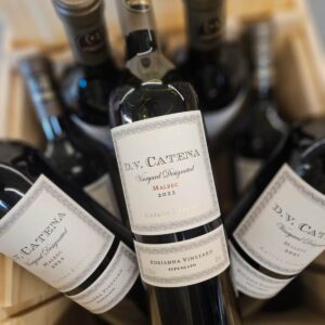 DV Catena Malbec Adrianna Vineyard de Gualtallary, vino argentino de altura del Valle de Uco
