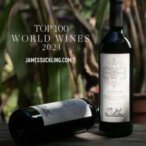 Gran Enemigo El Cepillo Cabernet Franc, vino argentino destacado del Valle de Uco
