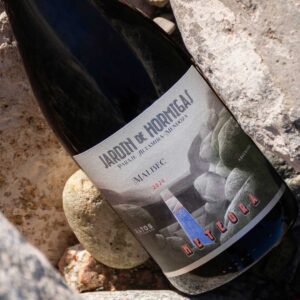 Jardín de Hormigas Meteora Malbec de Paraje Altamira, vino argentino destacado de 2025