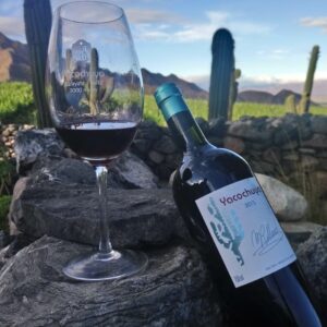 Yacochuya Malbec de Cafayate, uno de los mejores vinos argentinos de 2025
