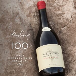 Zuccardi Finca Piedra Infinita Gravascal Malbec de Paraje Altamira, vino argentino premiado del Valle de Uco