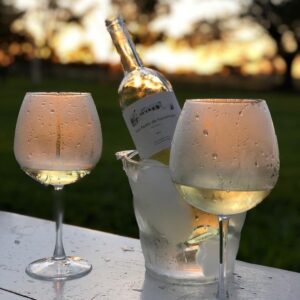 San Pedro de Yacochuya Torrontes