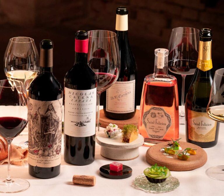 Diferentes tipos de botellas de Bodega Catena Zapata —formatos bordelesa, borgoñona y espumante— exhibidas en mesa de degustación junto a copas de vino tinto, blanco y rosado.