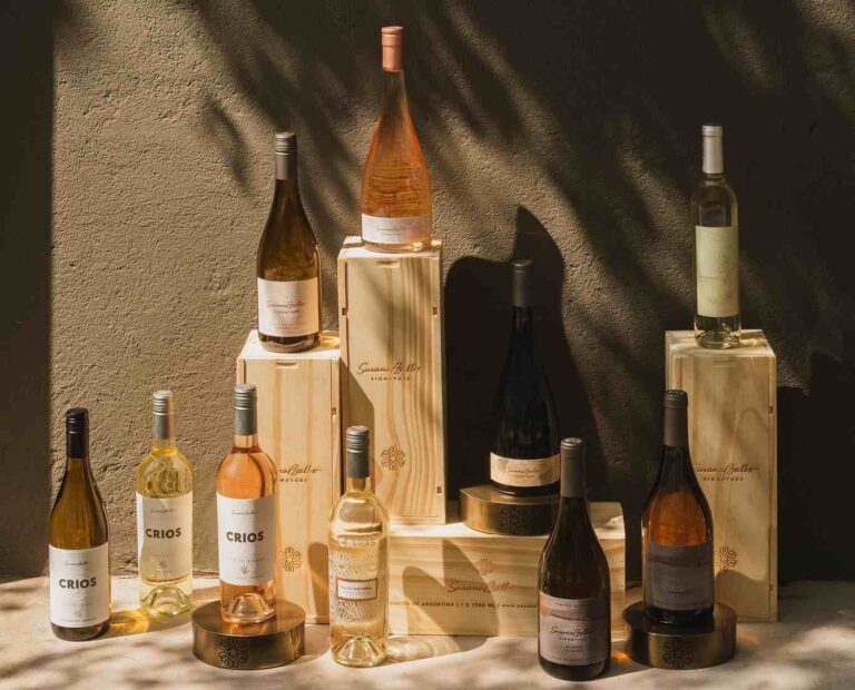 Botellas de Bodega Susana Balbo Wines en formatos bordelesa y borgoñona, con vinos blancos, rosados y tintos en vidrio verde oscuro, ámbar y transparente.