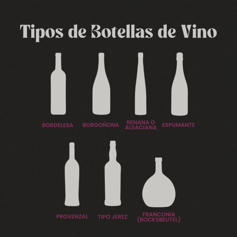 Infografía sobre tipos de botellas de vino con sus formas y características: bordelesa, borgoñona, renana o alsaciana, espumante, provenzal, jerez y franconia, y los estilos de vino asociados a cada una.