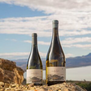 Vino blanco corte de blancas 45 Rugientes para maridaje con quesos