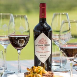 Vino Cabernet Sauvignon Achaval Ferrer estructurado para quesos intensos