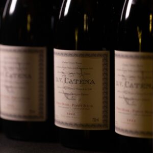 Vino Pinot Noir DV Catena ligero ideal para tablas de quesos