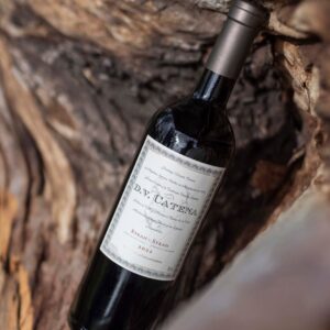 Vino DV Syrah Syrah argentino suave y frutado para acompañar quesos