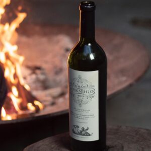 Botella de Gran Enemigo El Cepillo Cabernet Franc, vino de parcela del Valle de Uco