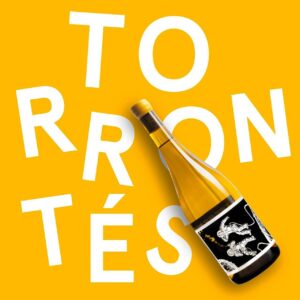 Vino Torrontés Les Astronautes fresco y aromático para acompañar quesos