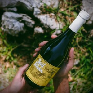 Vino Bonarda Saint Felicien argentino suave y frutado para acompañar quesos