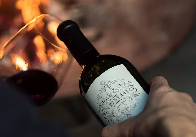 Gran Enemigo Gualtallary Cabernet Franc servido en copa en una escena de degustación