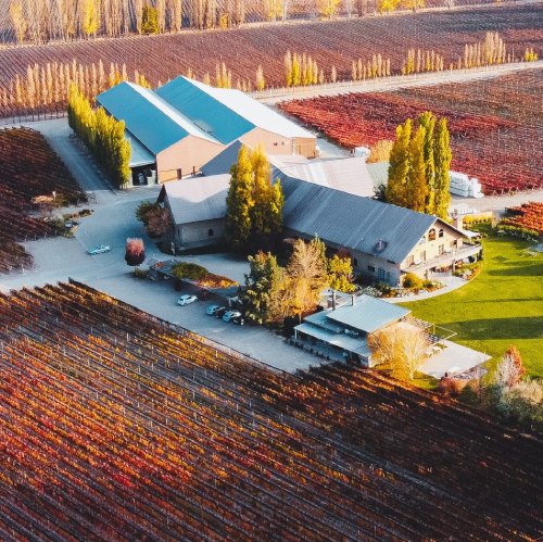 Vista de la bodega Susana Balbo rodeada de viñedos en el Valle de Uco, ejemplo de trabajo en parcelas y producción de vinos de edición limitada