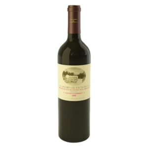Botella de vino tinto San Pedro de Yacochuya (cosecha 2008), originario de Cafayate, Salta, Argentina, fotografiada de frente sobre un fondo blanco aislado.