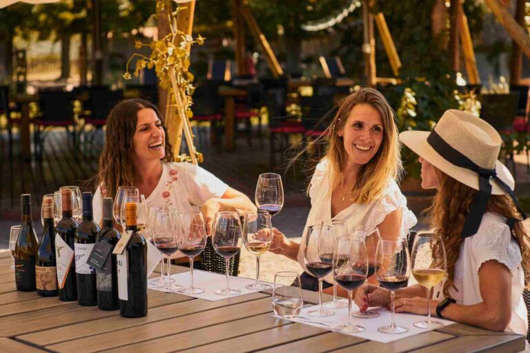 Degustación de vinos al aire libre con distintas copas y estilos servidos durante una experiencia enológica de Bodega Kaiken.