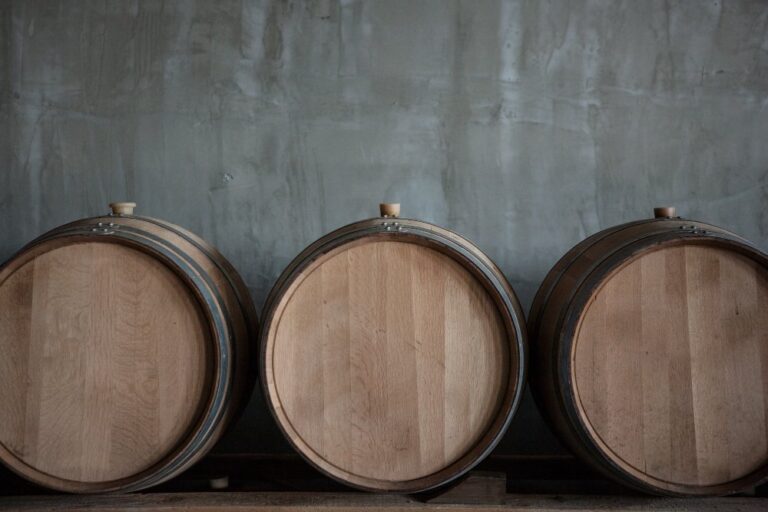 Barricas de roble utilizadas para la crianza del vino, un proceso que influye en el aroma, la textura y el estilo de cada etiqueta.