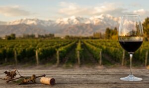 Viñedo del Valle de Uco con una copa de vino tinto y la Cordillera de los Andes al fondo, representando el prestigio internacional del Malbec argentino.