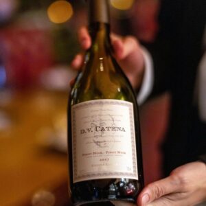 Primer plano de unas manos con traje sosteniendo una botella de vino D.V. Catena Pinot Noir 2017 en una terraza, con un viñedo y montañas de los Andes de fondo al atardecer.