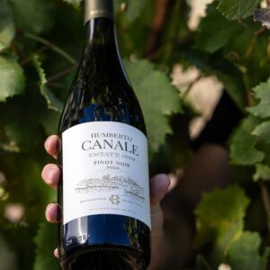 Mano sosteniendo una botella de vino tinto Humberto Canale Estate Pinot Noir 2023 entre hojas de viñedo.