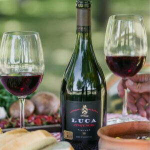 Botella de vino tinto Luca Pinot Noir 2020 al aire libre, flanqueada por dos copas de vino servidas y comida rústica en primer plano.