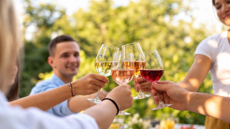 Grupo de amigos brindando al aire libre con copas de vino blanco, rosado, naranjo y tinto durante una tarde soleada de primavera.